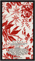 Gucci Bloom